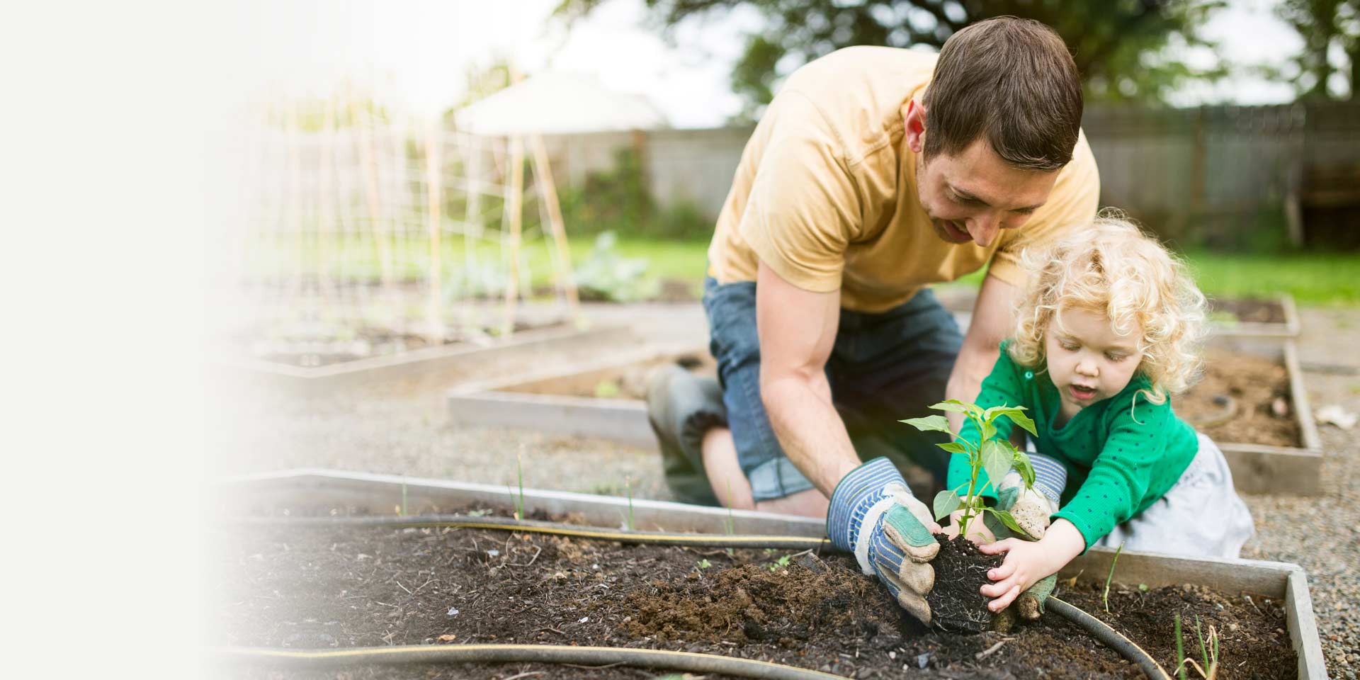 A father and child planting vegetables in a garden are an example of a Union Trust Checking family